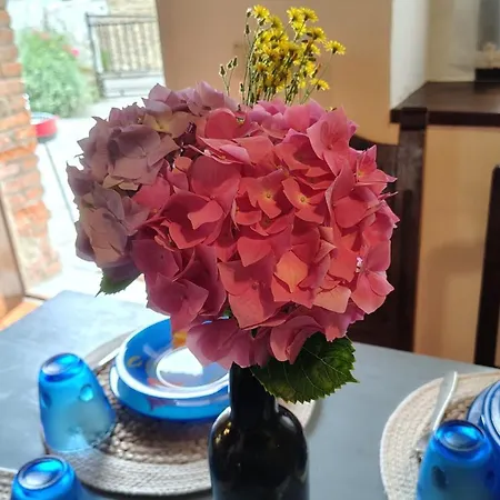 La Casina De La Caleyona, Parres - * يانس